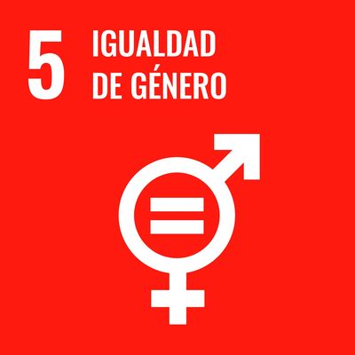 ODS 5 — Igualdad de Género